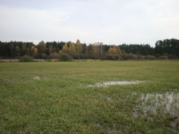 zdjecie Ulaski Stamirowskie