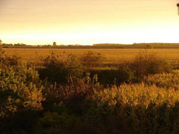 Stępuchowo leży przy drodze lokalnej do Niemczyna, 14 km na wschód od Wągrowca.