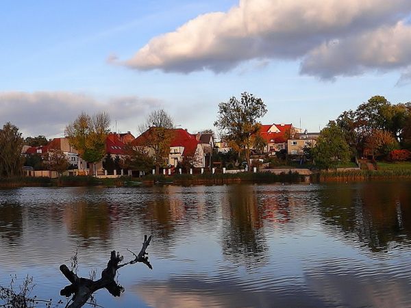 Panorama na wschodni brzeg jeziora Mogileńskiego