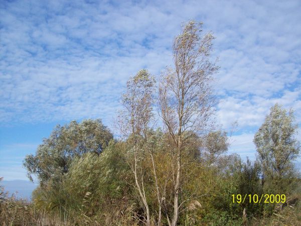 zdjecie Kamień Pomorski