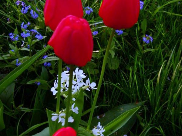 jesień coraz bliżej