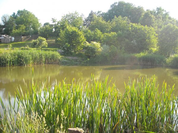 zdjecie Piotrowice Małe