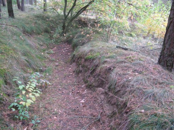 Fragment transzei ze stanowiskami strzeleckimi i rowy dobiegowe zlokalizowane w pobliżu Schronu nr 13 - Odcinek OSO(Ó)WIEC - Przedmoście Bydgoszcz.