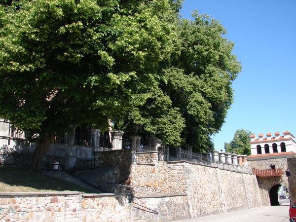 zdjecie Opatów
