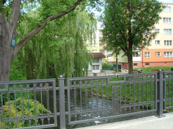 Widok na rzekę Łebę z mostu przy ul. Staromiejskiej