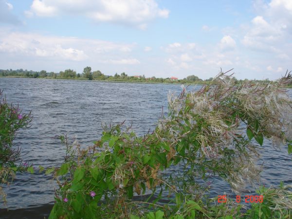 Fot. Ewa Kamila Jabłońska