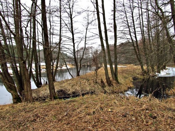 Nowe koryto rzeki Wdy po lewej stronie, po prawej stare koryto przed regulacją rzeki w latach 70-tych