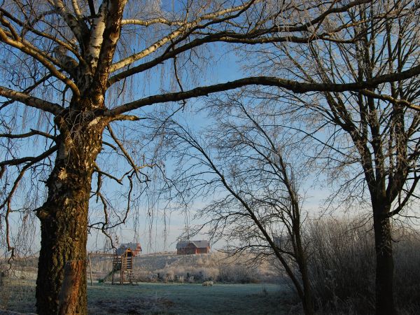 Piękne zimowe widoki w Nowych Ramotach