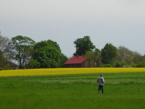 zdjecie Sulechów