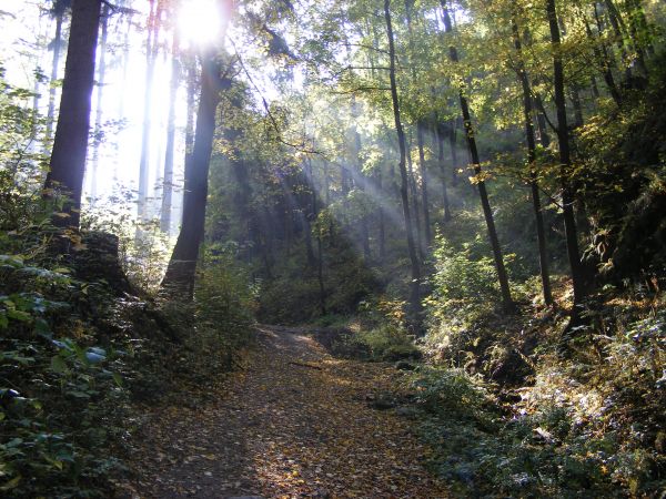 Droga na Górę Bardzką