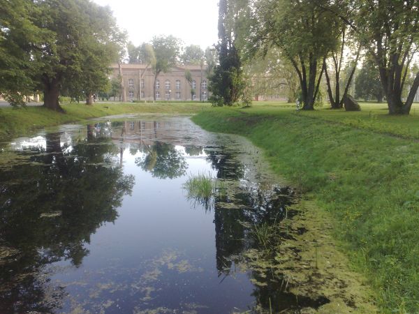 Zamek w Rydzynie, fosa