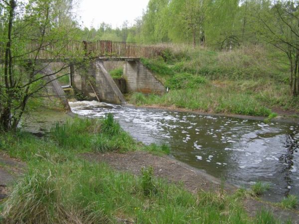 zdjecie Zalesie Górne