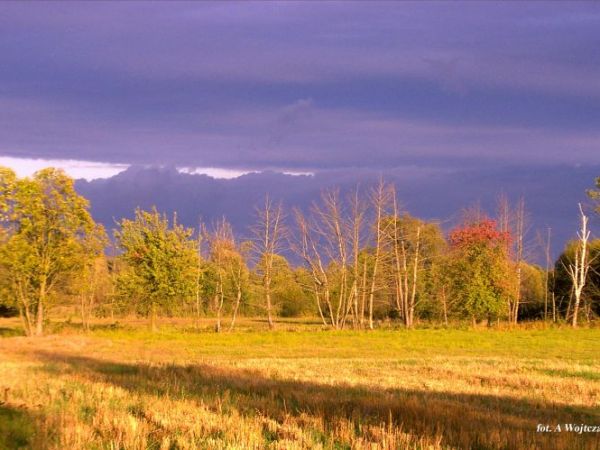 Piskory -Before the Storm