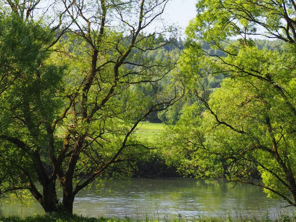 to jest rzeka San, jej długość całkowita wynosi 444 km, wypływa z Bieszczad - jej źródła w siodle zbocza górskiego na terenie wsi Sianki - to niegdyś duża wieś