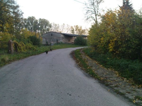 Magazyn zbożowy od strony pałacu