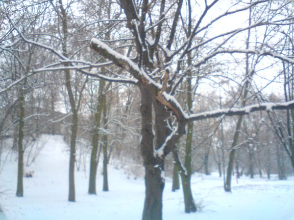 zdjecie Czeladź