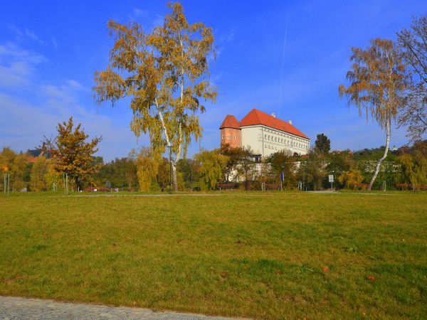 zdjecie Sandomierz