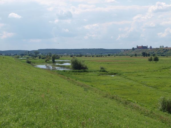 Widok na zamek