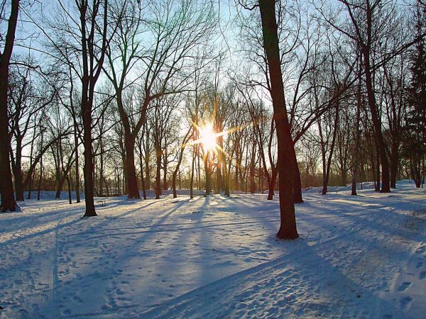 zdjecie Biała Podlaska