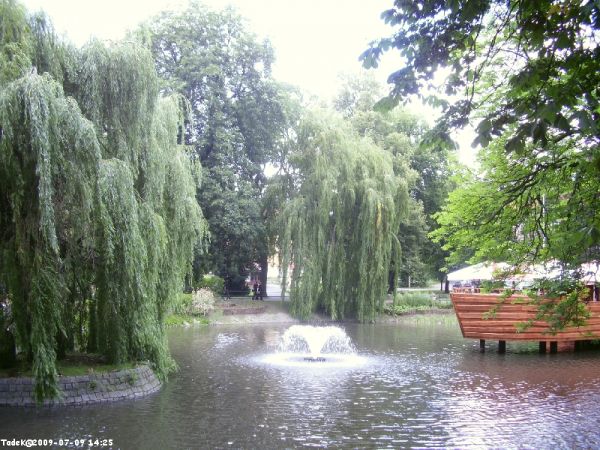 Wejdź też w Eholiday do galerii Gliwice, lub w N-K Tad. Dan. Krzywieccy.
Zapraszam.