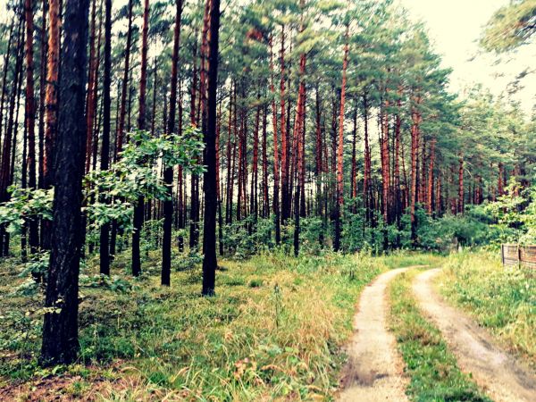 GABRIELÓW-LETNISKO REKREACYJNE