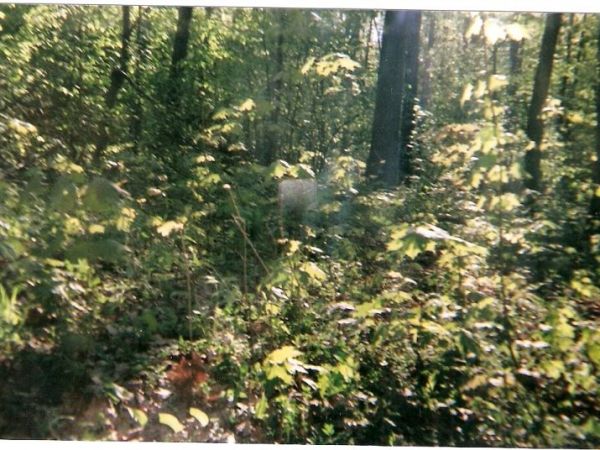 To co mamy przed oczami.