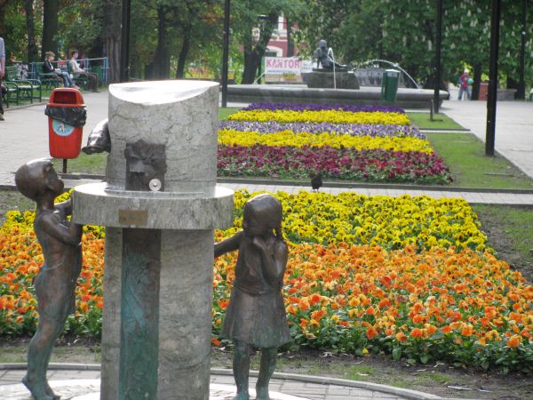 Pasarz w centrum Łodzi