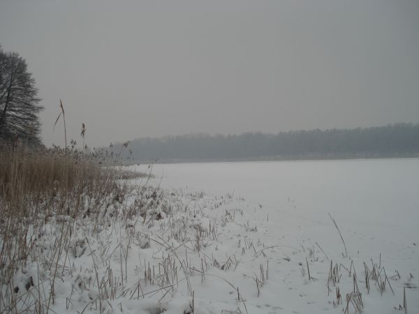 Jezioro skute lodem - styczeń 2010