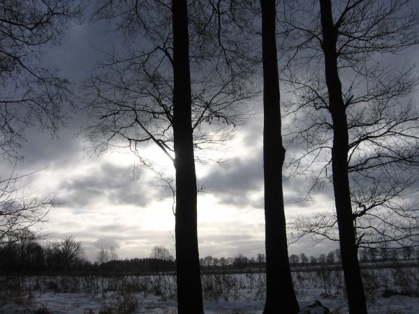 Zima na Młyńskiej Gorze