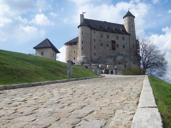 Zamek Bobolice – zamek królewski zbudowany w połowie XIV w. na terenie Jury Krakowsko-Częstochowskiej, we wsi Bobolice w województwie śląskim.