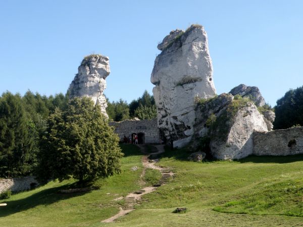ZAMEK  OGRODZIENIEC  znajduje się w osadzie  Podzamcze , około 2 km na wschód od miejscowosci  Ogrodzieniec.