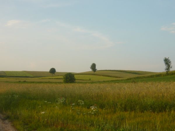 zdjecie Michalów