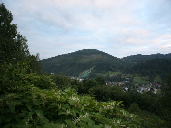 WIDOK NA SKRZYCZNE Z MAGÓRKI