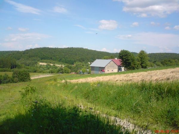 Widok z Kaczmarówki na lasy panstwowe tzw.brzeżnik