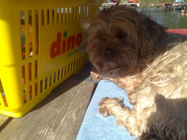 zdjecie Boszkowo-Letnisko