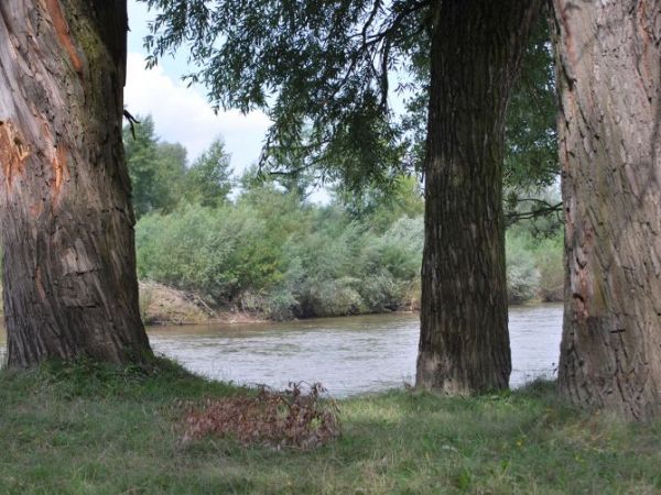 zdjecie Stare Kaliszany