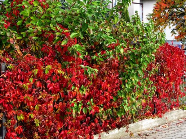 Jesień 2014 na ulicy Słonecznej