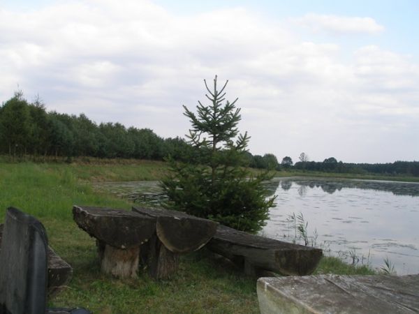 Pobliski staw, jeden z wielu