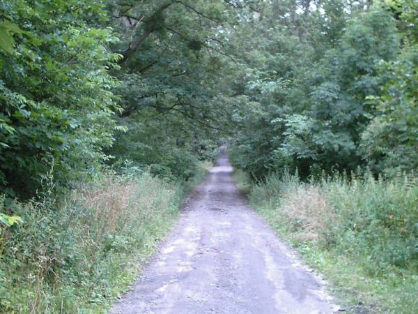 zdjecie Orłów Murowany