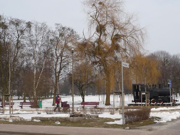 Park miejski wiosną ale źimowo 02.kwiecień 2013r.
