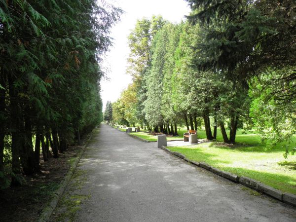 Park Zdrojowy powstały w latach 20-tych XX wieku. Aleja Tujowa.