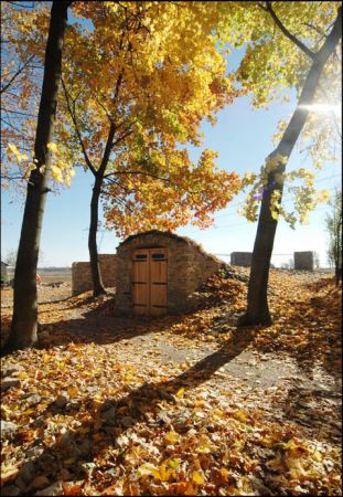 SPORADYCZNA PIWNICA ARTYSTYCZNA