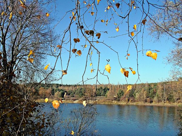 Jezioro w Silnie k/Torunia - listopad 2018 .