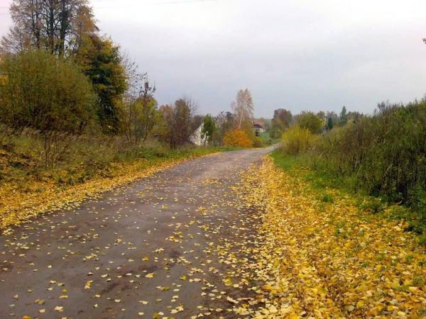 Droga do Tulic od strony Dzierzgonia.