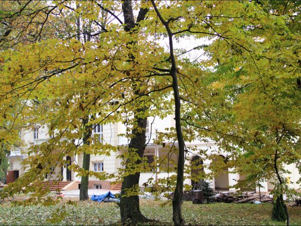 Zespół pałacowo - parkowy w Ożańsku.