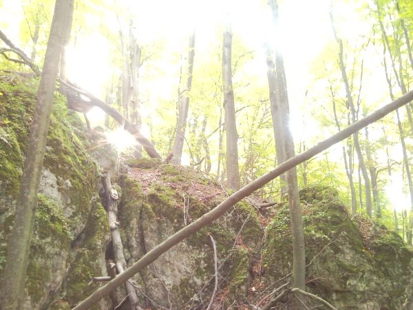 zdjecie Złoty Potok