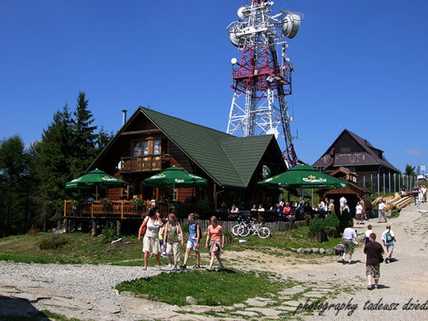 Na Jaworzynie Krynickiej