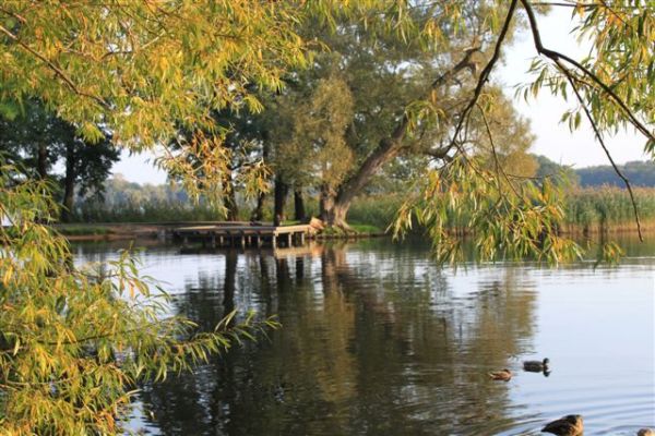 J. Trzesiecko / Szczecinek