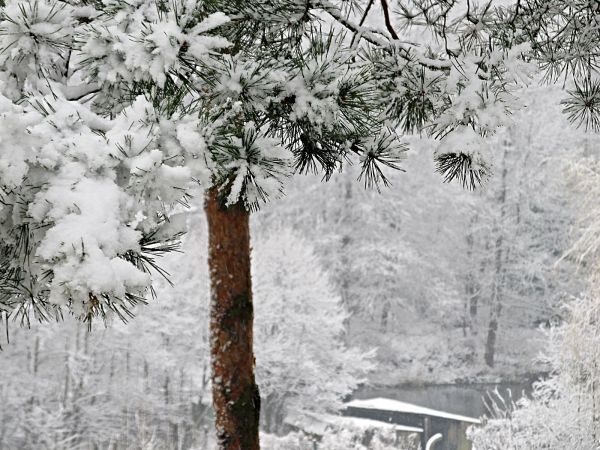 Zimowa sceneria terenu przy ulicy Mickiewicza, nad rzeką Wdą, oraz przy budynku Urzędu Miejskiego.