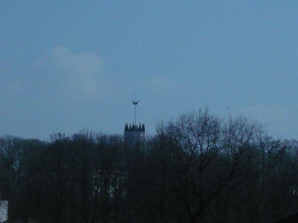 zdjecie Opinogóra Górna